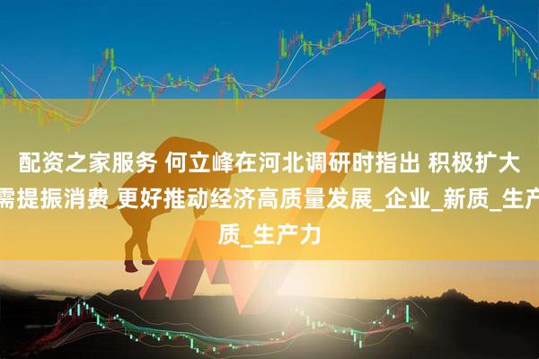 配资之家服务 何立峰在河北调研时指出 积极扩大内需提振消费 更好推动经济高质量发展_企业_新质_生产力